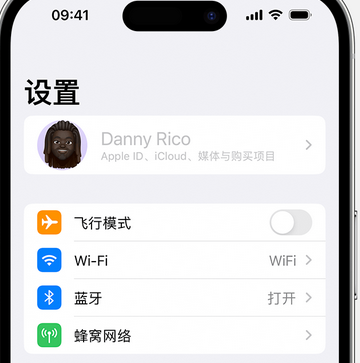 镇安appleID维修服务iPhone设置中Apple ID显示为灰色无法使用 