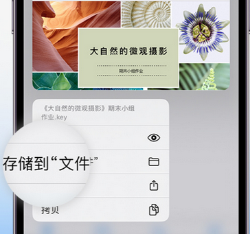 镇安apple维修中心分享iPhone文件应用中存储和找到下载文件