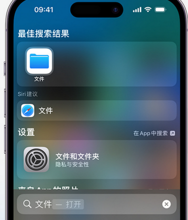 镇安apple维修中心分享iPhone文件应用中存储和找到下载文件 