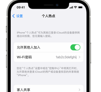 镇安apple服务站点分享iPhone上个人热点丢失了怎么办 