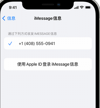 镇安apple维修iPhone上无法正常发送iMessage信息 