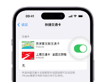 镇安apple维修点分享iPhone上更换Apple Pay快捷交通卡手绘卡面 