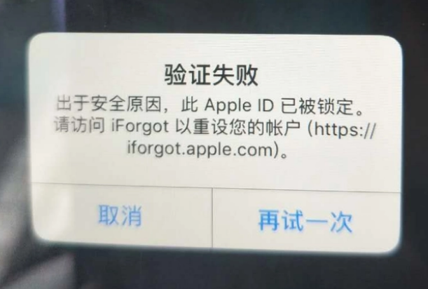 镇安iPhone维修分享iPhone上正常登录或使用AppleID怎么办 