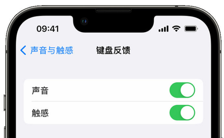 镇安苹果手机维修分享iPhone 14触感键盘使用方法 