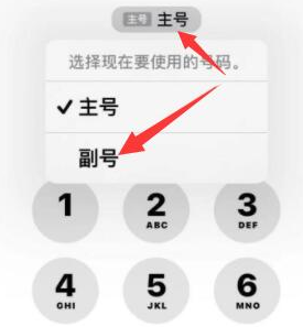 镇安苹果14维修店分享iPhone 14 Pro Max使用副卡打电话的方法 