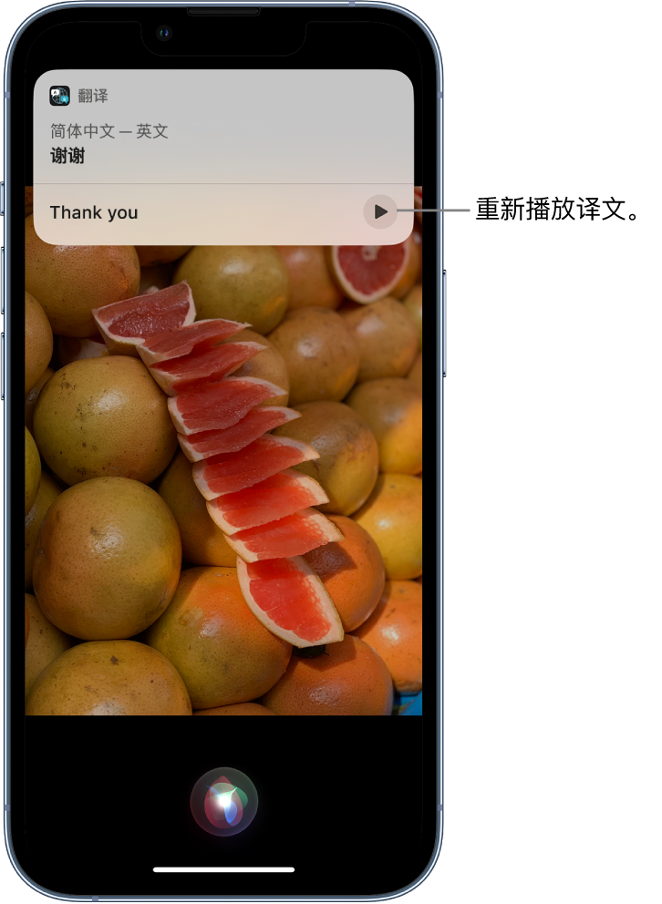 镇安苹果14维修分享 iPhone 14 机型中使用 Siri：了解 Siri 能帮你做什么 