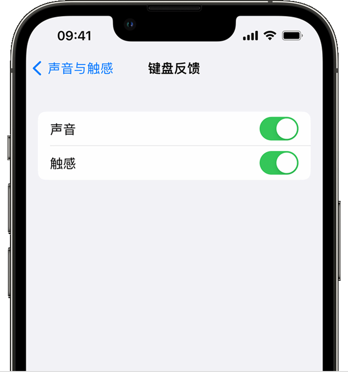 镇安苹果14维修分享iPhone 14 系列机型如何开启键盘声音或触感反馈 