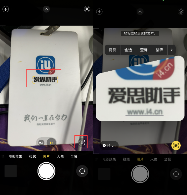 镇安苹果手机维修分享升级iOS 16后如何通过相机翻译文本 