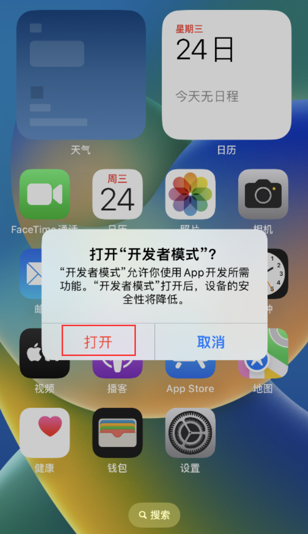 镇安苹果手机维修分享如何打开开发者模式 