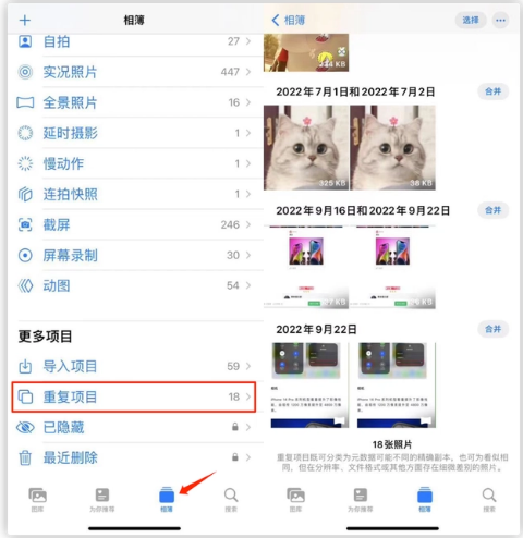 镇安苹果手机维修分享iOS 16 中相册重复项目功能使用方法 