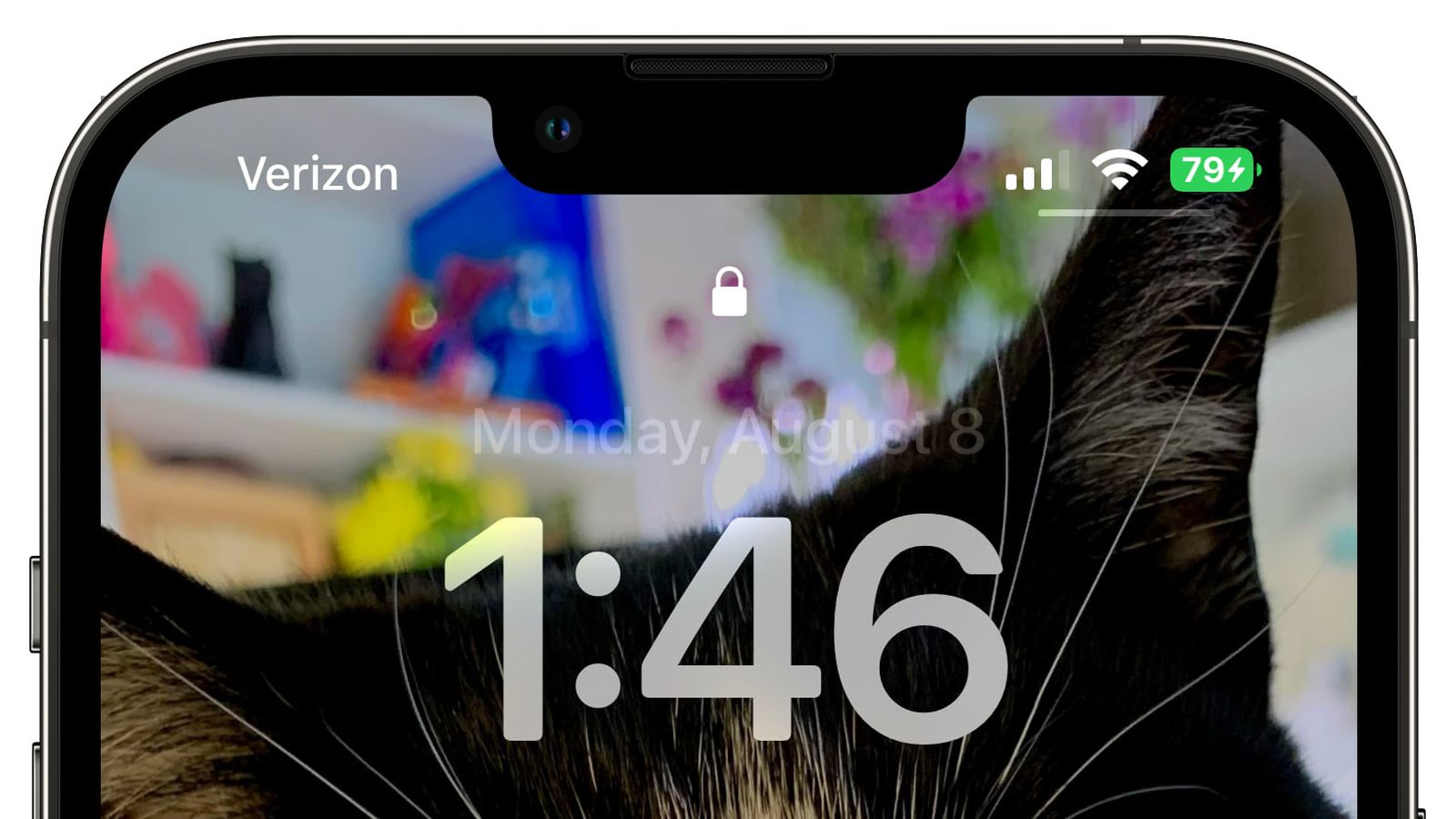 镇安苹果手机维修分享iOS 16 beta 5 支持状态栏显示电池百分比，如何开启？支持哪些机型 