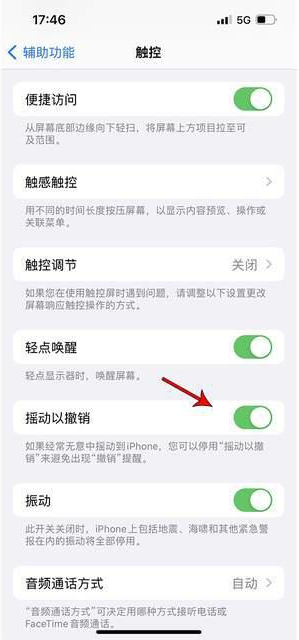镇安苹果手机维修分享iPhone手机如何设置摇一摇删除文字 