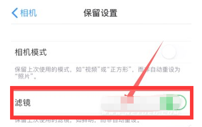 镇安苹果13维修分享iPhone13拍照有绿点是怎么回事 