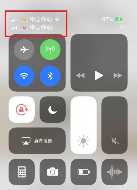 镇安苹果手机维修分享为 iPhone 12 双卡设置标签 